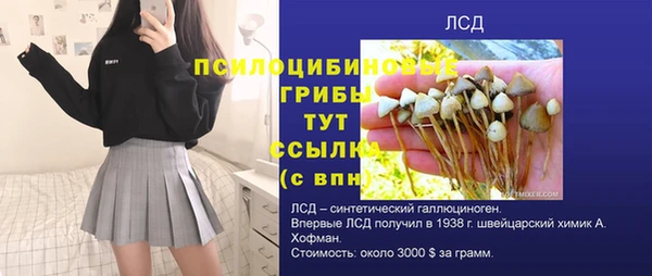 спиды Абаза