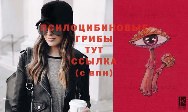 спиды Абаза