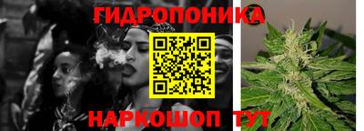 скорость Пугачёв