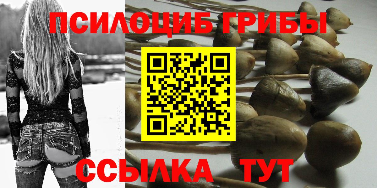 Псилоцибиновые грибы GOLDEN TEACHER Хасавюрт
