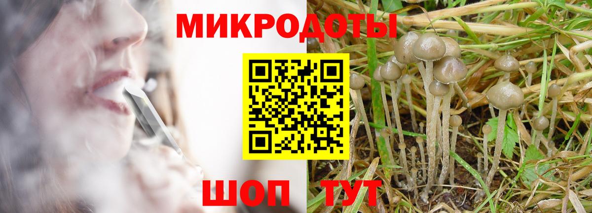 Хасавюрт  Псилоцибиновые грибы Psilocybine cubensis  Вход с VPN 